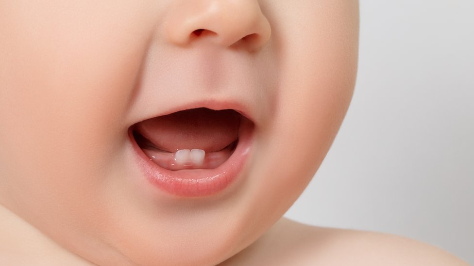 Cele Mai Bune Periuțe De Dinți Pentru Bebeluși